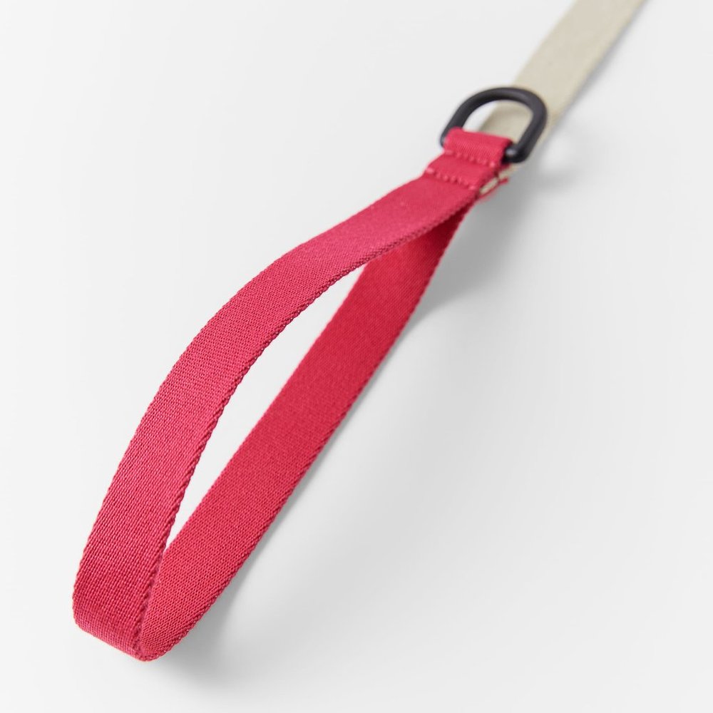 ZARA COLORFUL LEASH PET COLLECTION - Picture 3 of 5